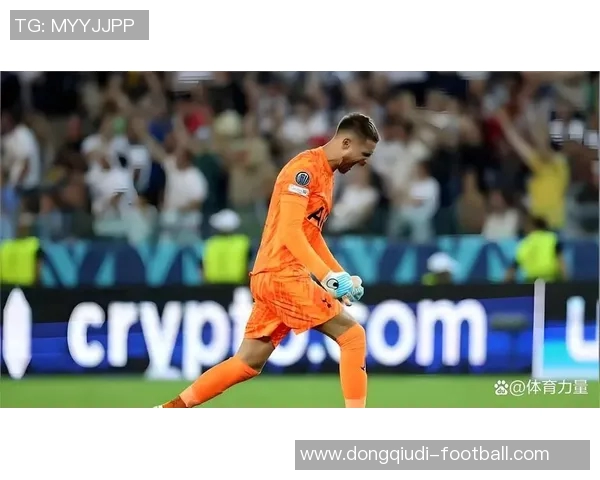 欧联杯热刺逆转里昂红牌事件引发全场热议与争议